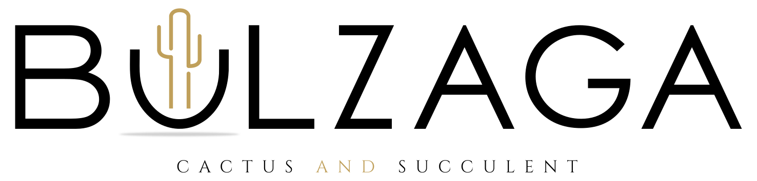 Bulzaga logo